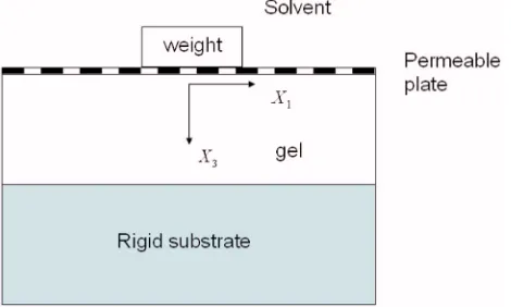 FIG. 3. �Color online� An illustration showing a fully swelling gel bondedto a right substrate and subject to an applied weight via a plate permeable tothe small molecules.