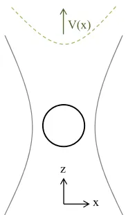 Figure 2.4.2: Schematic of an optically trapped microsphere. In green: an approxi-mation of the harmonic trap potential.