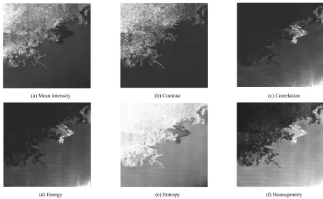 Fig. 2.  Image textures of an S1 EW image in HV polarization acquired on September 26, 2018 over the Beaufort Sea