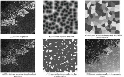 Fig. 3.  Intermediate results of extracting samples using the marker-controlled watershed transform method for the case presented in Fig.2
