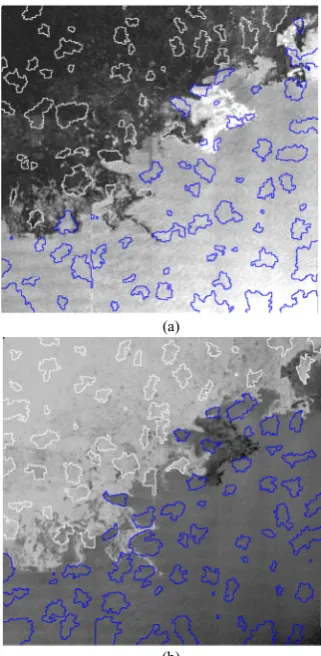 Fig. 8.  The classified sea ice samples (white polygons) and open water samples (blue ones) in the homogeneity (a) and entropy (b) texture images