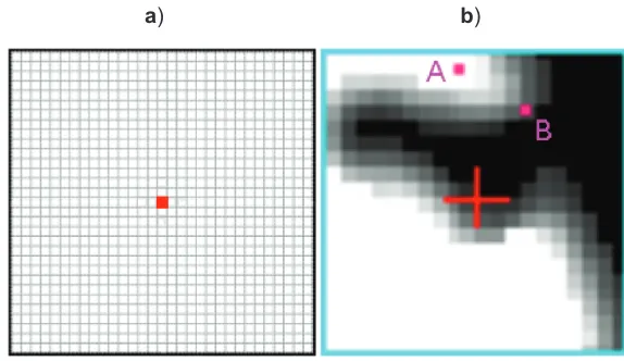 Figure 4 a) A 31 × 31 neighborhood of the red pixel when α1 was set to be 0.719 with truncation value to be 0.00005