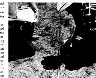FIG. 1. Intercepted crown distances of individual crested wheatgrass plants were measured and recorded on graph paper to .Ol-ft