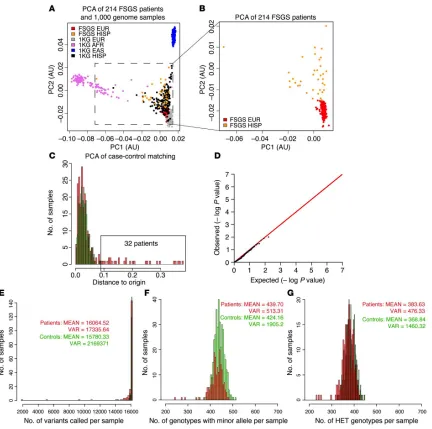 Figure 2.2. the PCA plot in relationship to 1,000 genome samples. (B) Magnified view of the inset area in A