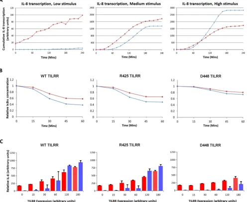 Fig 5. Cytoskeletal binding and release of Iκconditions, show a more pronounced effect at lower levels with inverse effects at higher levels of, activity, while effects at intermediate activities are lesspronounced consistent with data in 5A