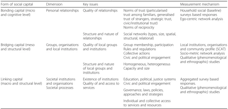 Table 1 Proposed social capital analytical framework (from theory to measurement)