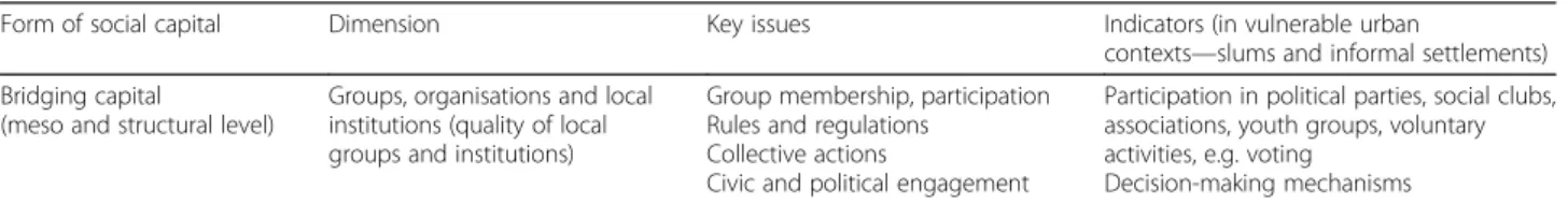 Table 3 Attributes of bridging capital in vulnerable urban contexts
