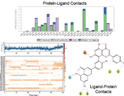 Figure 7. Protein-ligand contact analysis for amentoflavone during the MD simulation. 