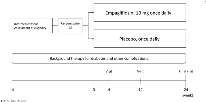 Fig. 1  Trial design