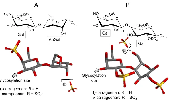 Figure 4. Representative chemical structures of carrageenans. These polymers are made up of alternating 3-linked galactose (Gal) units and (A) 4-linked anydrogalactose (AnGal) as seen in kappa (κ) and iota (ɩ) carrageenans or (B) Gal units as seen in zeta 