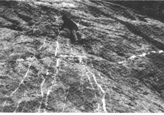 Fig. 4. Quartz-vein swarm, Galenadal 