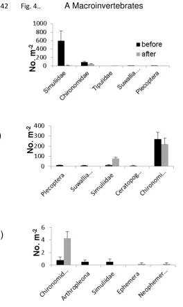 Fig. 4..            A Macroinvertebrates                                                      B Meiofauna 