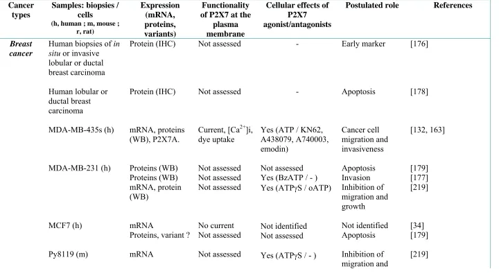 Table 1: P2X7 expression, functionality and postulated roles in solid tumours Expression of P2X7 mRNA was assessed by PCR, and P2X7 proteins by immunohistochemistry (IHC), western blotting (WB) or Flow cytometry (FC)