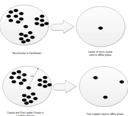Figure 3. Mini micro and micro leader clusters. 