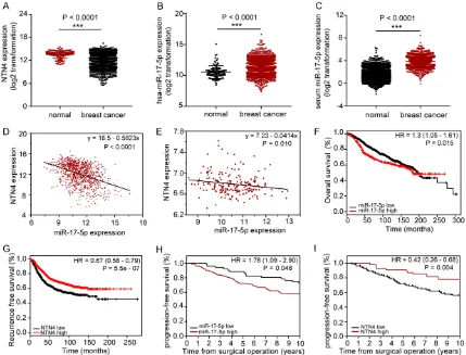Figure 1. Markedly negative correlation between miR-17-5p and NTN4 mRNA in BC lesions in a database analysis
