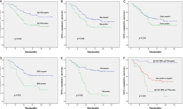 Figure 3. Kaplan-Meier survival plots for disease-free survival in patients with TNBC