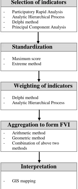 Figure 3.2. Steps used in the development of a FVI and common methods used in each step 