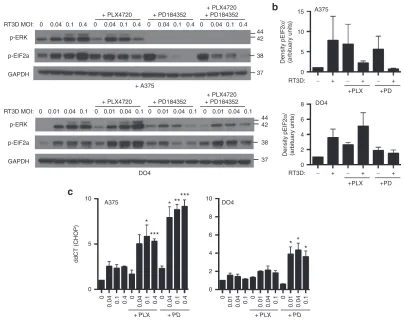 Figure 4 Enhanced apoptosis observed with RT3D and BRAF/MEK inhibition is mediated by ER stress