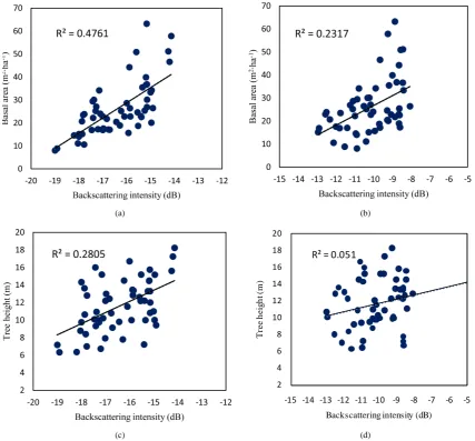 Figure 3. The relationship between structural parameters and backscattering intensity during dry season: (a) basal area and backscattering intensity (HV); (b) basal area and backscattering intensity (HH); (c) tree height and back-scattering intensity (HV);