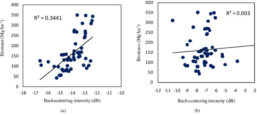 Figure 5. The relationship between biomass and backscattering intensity during dry season: (a) biomass versus backscatter-ing intensity (HV); (b) biomass versus backscattering intensity (HH)
