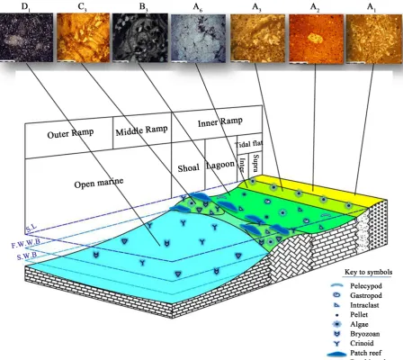Figure 8. Depositional environment model of Gachal formation in Madbeiki section.                                                 