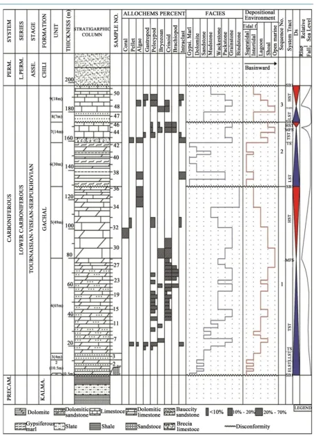 Figure 9. Frequency column of microscopic microfacies and depositional sequence of Gachal formation in Madbeiki section