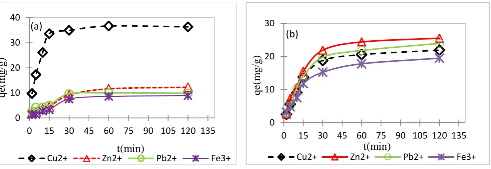 Figure 5. Effect of contact time on the removal Cu2+, Zn2+, Pb2+ and Fe3+ by IIP/Mt(a), and 