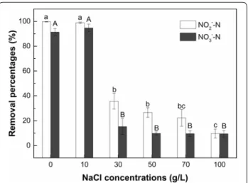 Fig. 5  Effect of initial pH on denitrification capacity of strain F1 in 