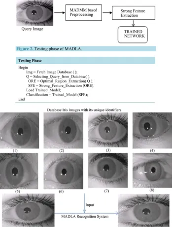 Figure 2. Testing phase of MADLA. 