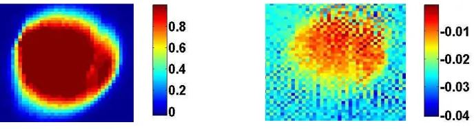 FIGURE 4 Images of output detection using Rcos for samples of  25%-wt PETN (left hand side) and pure lactose monohydrate (right hand side)with their respective colour scale at the modulation frequency of 19 Hz
