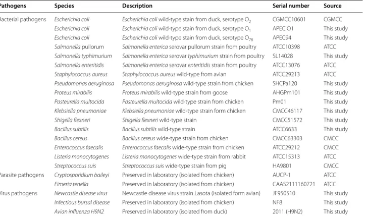 Table 1  Pathogens used in this study