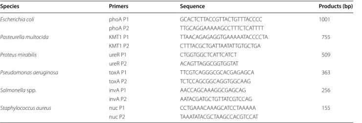 Table 2  Primers used in this study