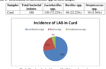 Fig 1. Showing the incidence of LAB in curd samples. 