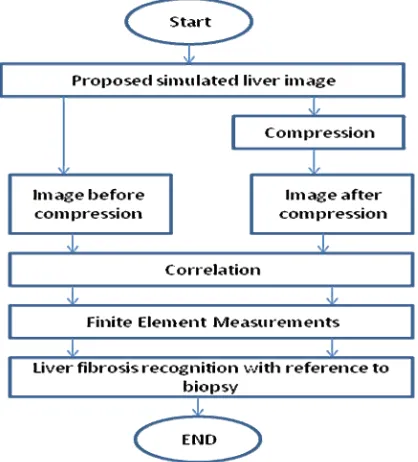 Figure 2. Representation of finite element model of liver fibro- Esis (Ex), where Ex is one of the stiffness values of E1, E2, E3, or 4