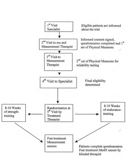 Figure 4 STUDY DESIGN 