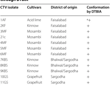 Table  1  Biological indexing of  CTV confirmed 