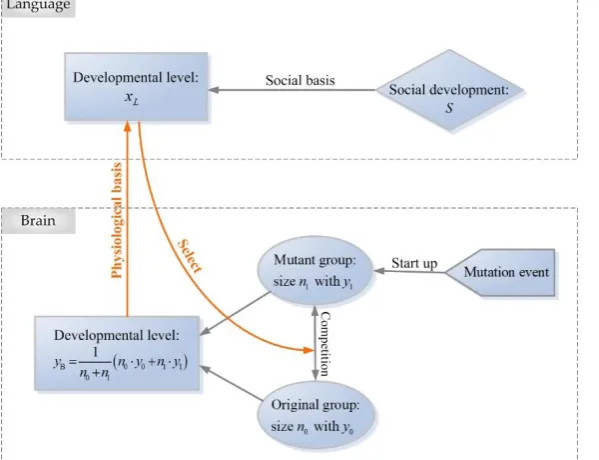 Figure 2．of brain development on language is shown as development on brain is shown as A schematic diagram for the interaction between human language and brain