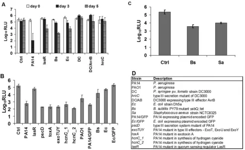 Figure 2. Activity of seedlings engineered to constitutively expressed luciferase after infection with different microbes