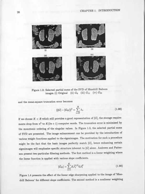 Figure 1.3: Selected partial sums of the SVD of Mandrill Baboon images. (i) Original (ii) G6 (iii) Gn (iv) G31 