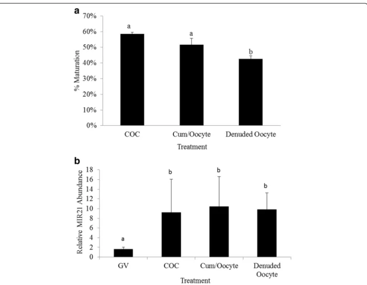Table 1 Oocyte development to MII arrest and 4-cell stage of embryonic development at 60 h following parthenogenetic activation