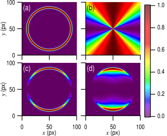 Figure 1. 2D representation of (a) the radial distribution given by Eq. (1) with parameters rc =40 pxand σc=3 px, (b) the angular distribution given by Eq