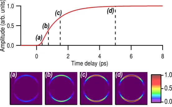 Figure 2. Temporal evolution of a contribution with a temporal behavior described by Eq