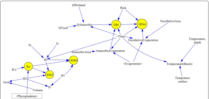 Fig. 5  Schematic diagram of the relationships between inflow, temperature, light, and evaporation in the model