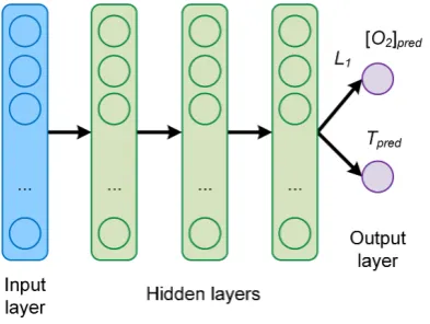 Figure 3. Architecture of the feed-forward MTL network B.
