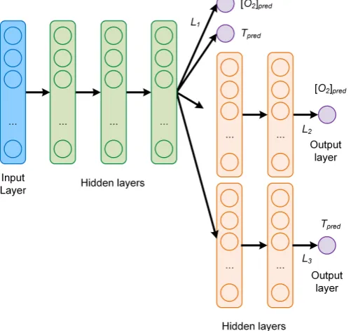Figure 4. Architecture of the feed-forward MTL network C.