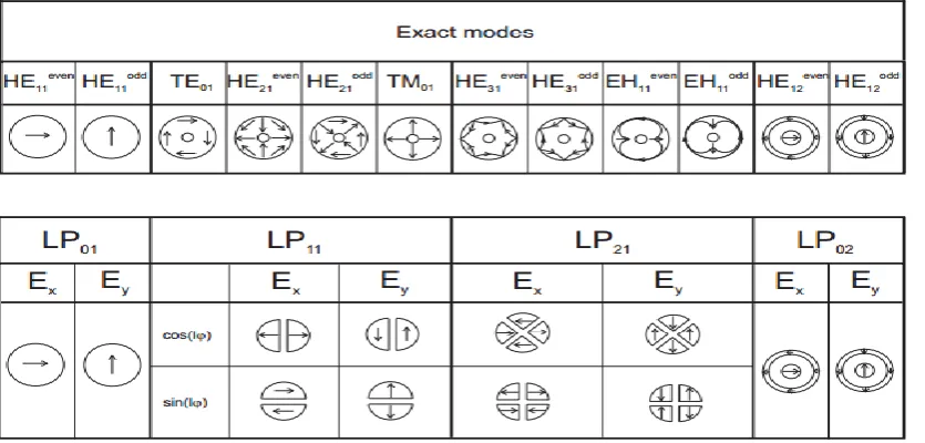 Figure 2.3: Electric field of lowest 12 modes of corresponding LP modes in step index fibre (Ma, 2009)
