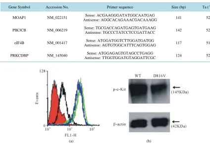 Table 1. Details of primers used for real-time PCR in induced c-Kit mutant D816V expressing cells