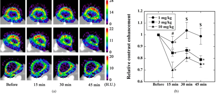 Figure 7. (a) Typical example of the CE images before and 15 min, 30 min, and 45 min after the administration of L-NNA in Study 4 (Figure 2)