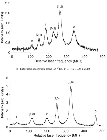 Figure 2.7: Saturated absorption scans for theTransitions to true excited state hyperfine levels are labelled with the excited state hyperfine quantum number, F, and crossover resonances are labelled (in  5Si to SPs levels of ®^Rb