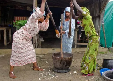 Fig 2. Pounded yam made of mortar and pestle 
